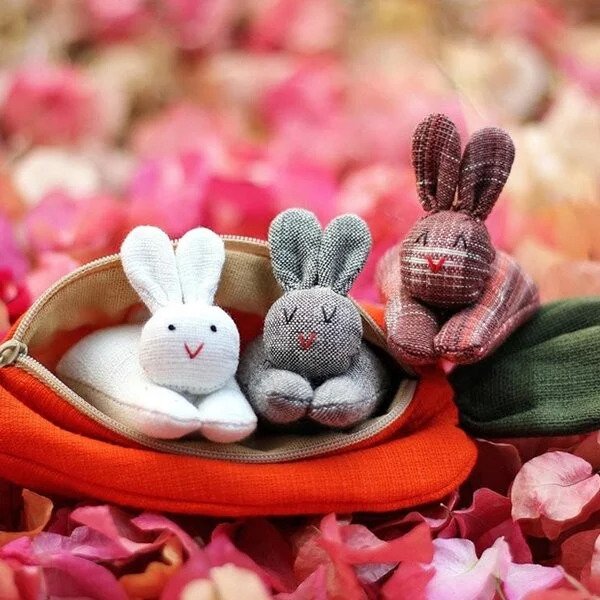 Hide-and-Seek Bunnies in Carrot Pouch