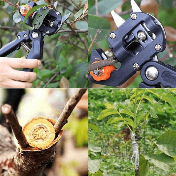 Professional Nursery Grafting Tool