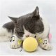 Smart Cat Toys Interactive Ball Catnip Cat Training Toy Pet Playing Ball