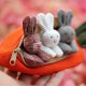 Hide-and-Seek Bunnies in Carrot Pouch